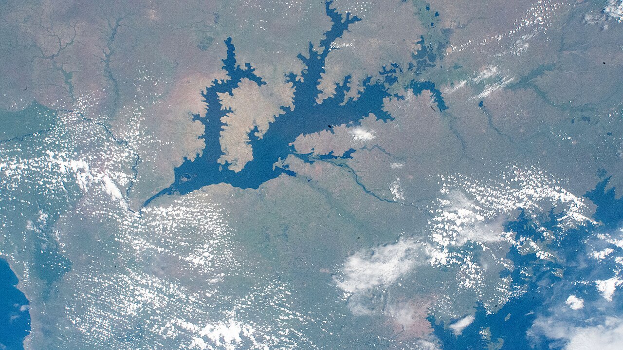 Власти Уганды запретили Starlink предоставлять услуги связи незадолго до выборов