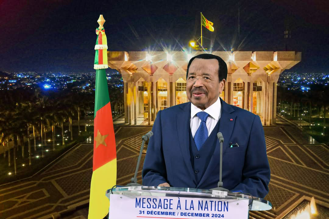 Президент Камеруна будет щедро спонсировать местных создателей стартапов из числа молодежи