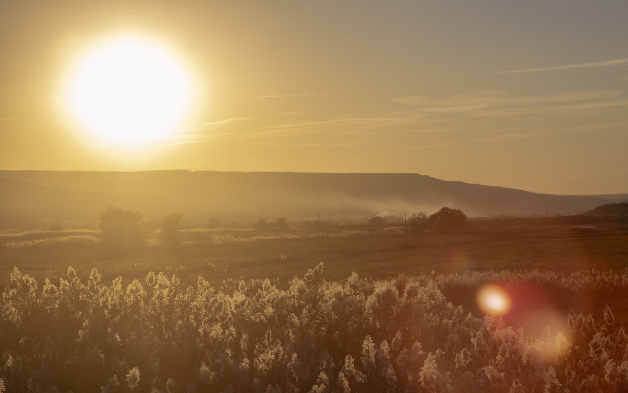 МТС улучшила связь в 70 населенных пунктах Ставропольского края
