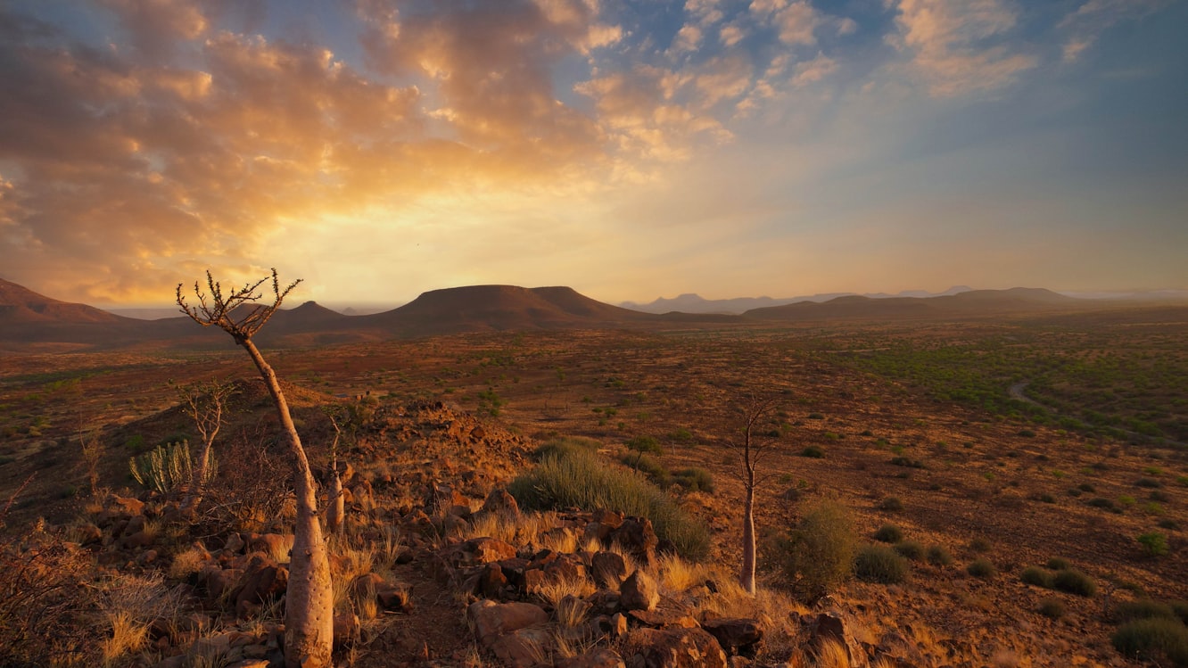 Telecom Namibia подключила 21 школу в намибийском регионе Западный Каванго к высокоскоростному интернету