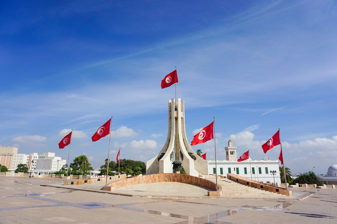 Власти Туниса цифровизируют систему здравоохранения