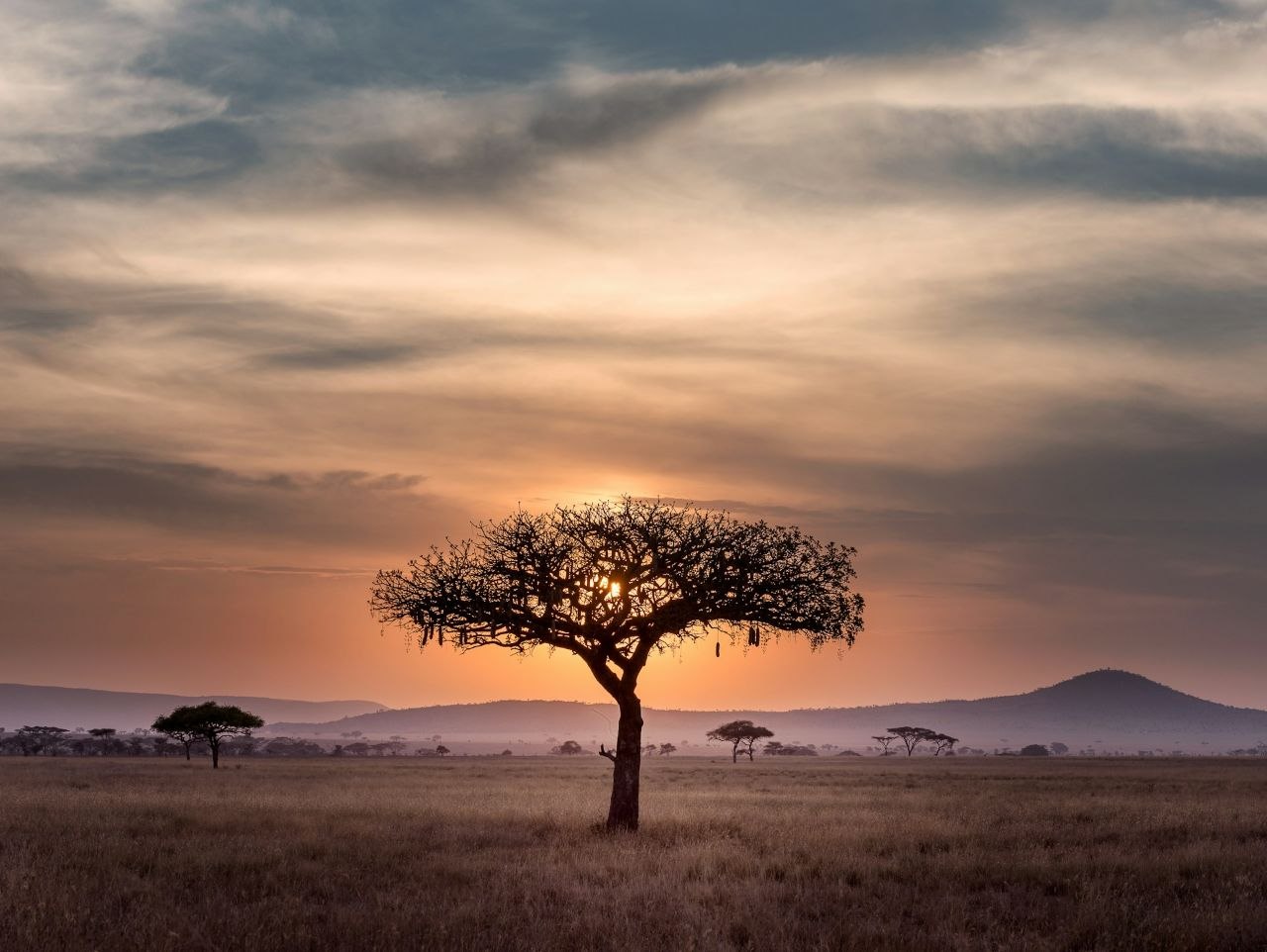 Выручка Airtel Africa прибавила в ушедшем году 29,5%